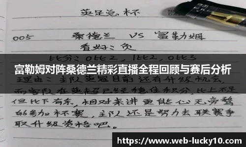 富勒姆对阵桑德兰精彩直播全程回顾与赛后分析